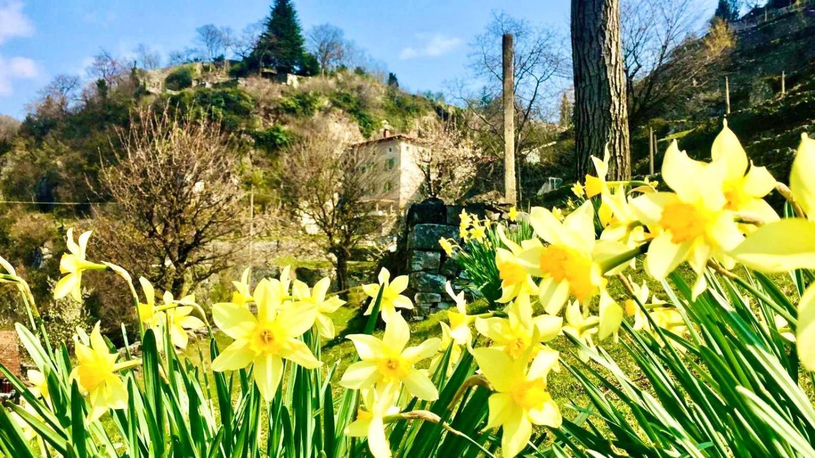 La Casa Sulla Collina Del Castello Villa Breno Luaran gambar
