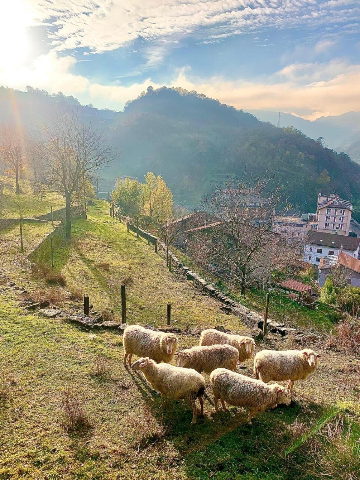 La Casa Sulla Collina Del Castello Villa Breno Luaran gambar